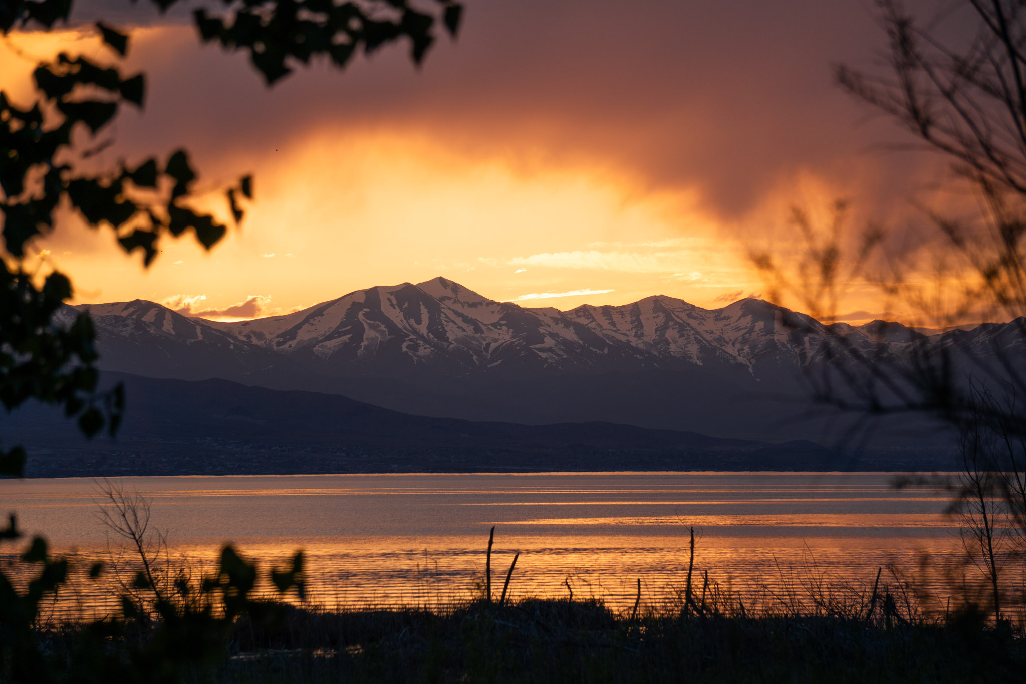 The snowy west mountains catch the orange sunset light beautifully over the shining lake, framed by a cottonwood on the left and some sticky bush on the right